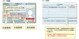 在留カードの説明の写真画像