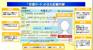 在留カードの見方の写真画像